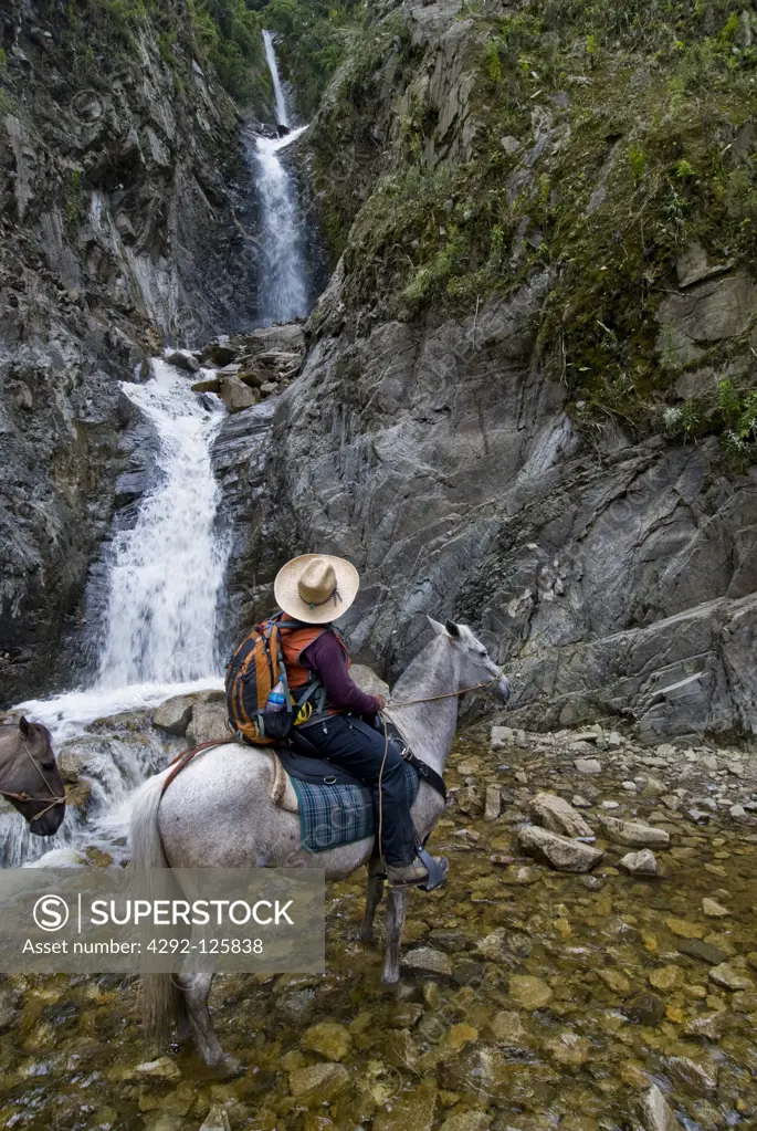 Peru, Salkantay trekking: Rio Santa Teresa between Collpapampa and  Lucmabamba. Enriquez Umbert senyor horseback rising  (founder of Mountain Lodge of Peru)
