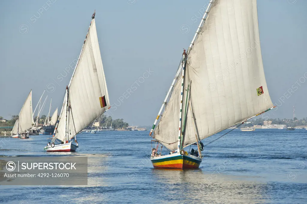 Africa, Egypt, felucca sailing on the Nile river