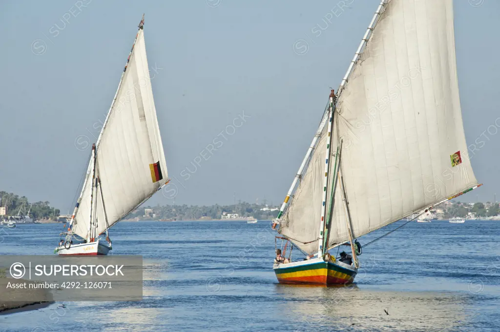 Africa, Egypt, felucca sailing on the  Nile river