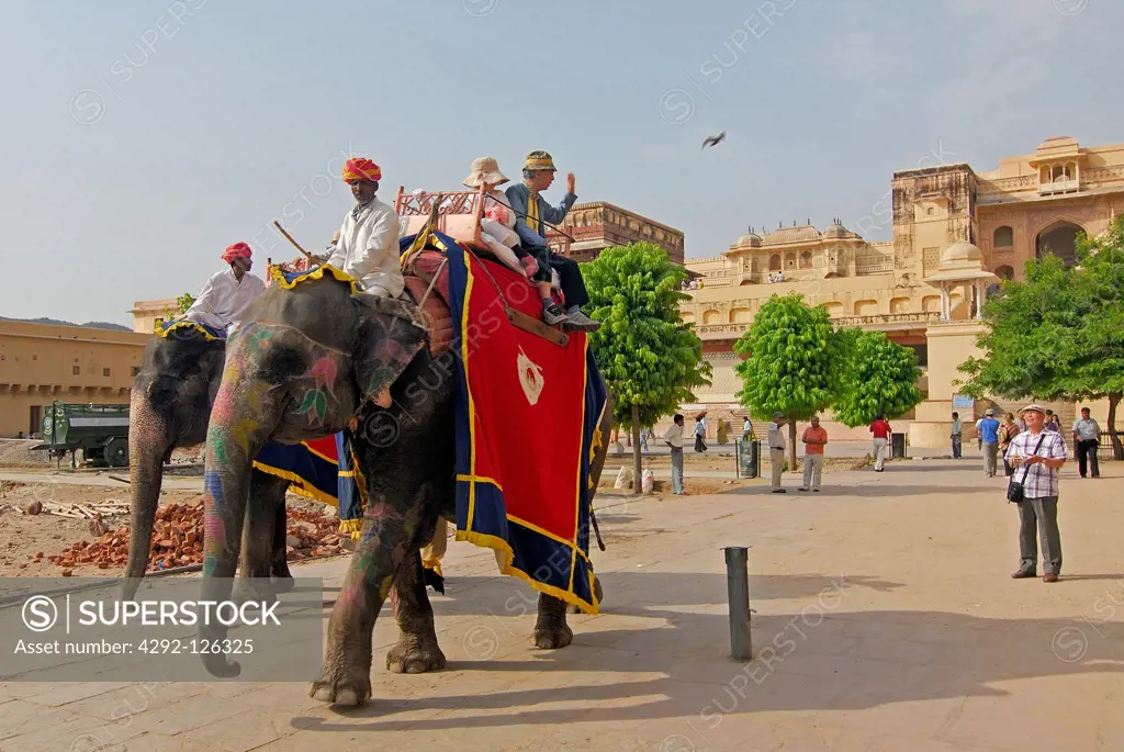 India, Rajasthan, Jaipur, Amber Fort, elephant ride