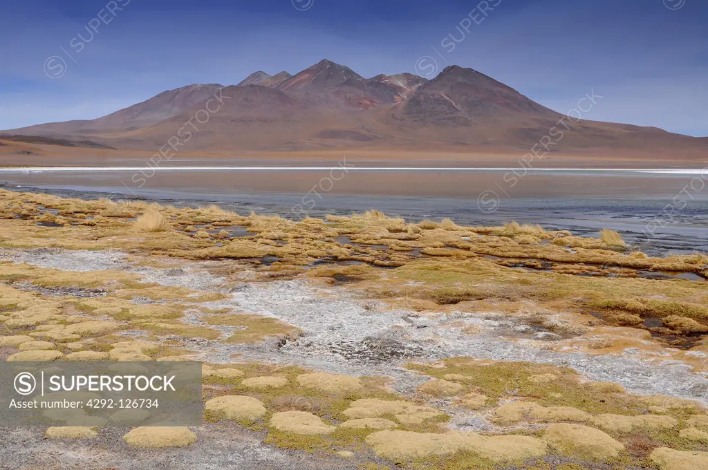 Bolivia, Laguna Blanca, Lake in the Sur Lipez province, Potosi Department