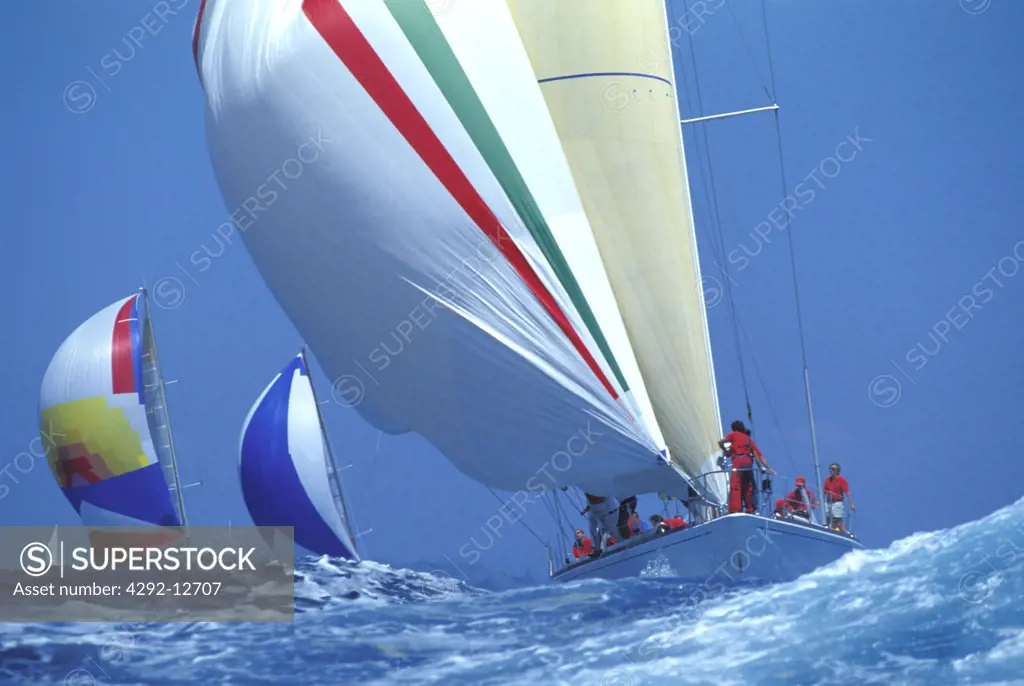 Sailboats during a sail race