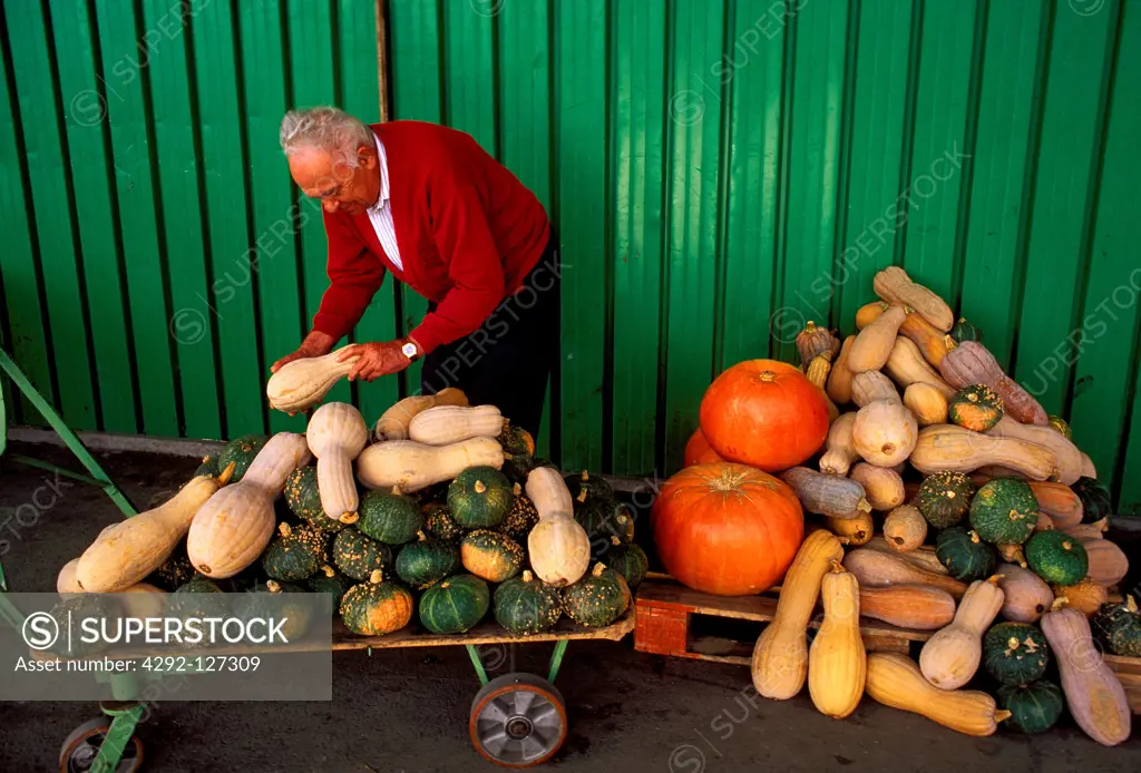 Italy, Emilia Romagna, Ferrara, Stall Market, Different Kinds of Pumpkins.