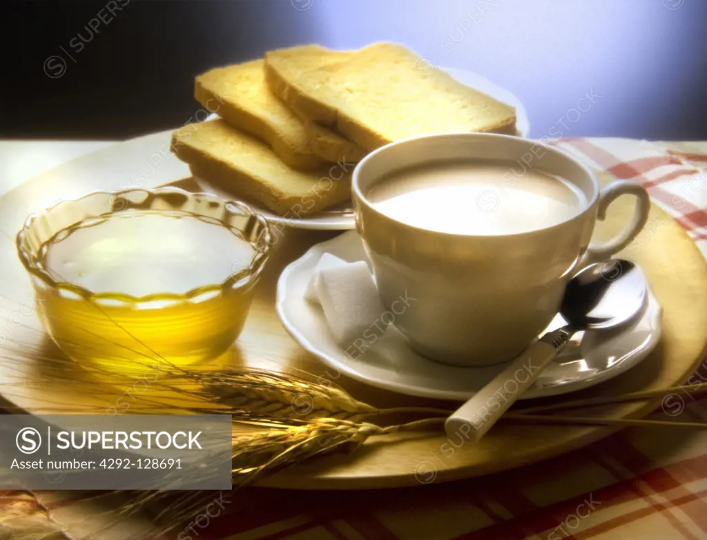 Cappuccino, biscuit rusks and honey on tray