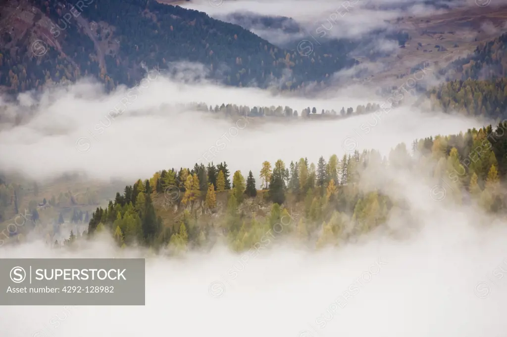Italy, Trentino Alto Adige, Dolomite Alps, Fog
