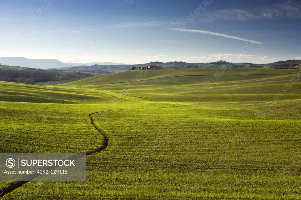 Italy, Tuscany, Orcia Valley, Siena Province, countryside