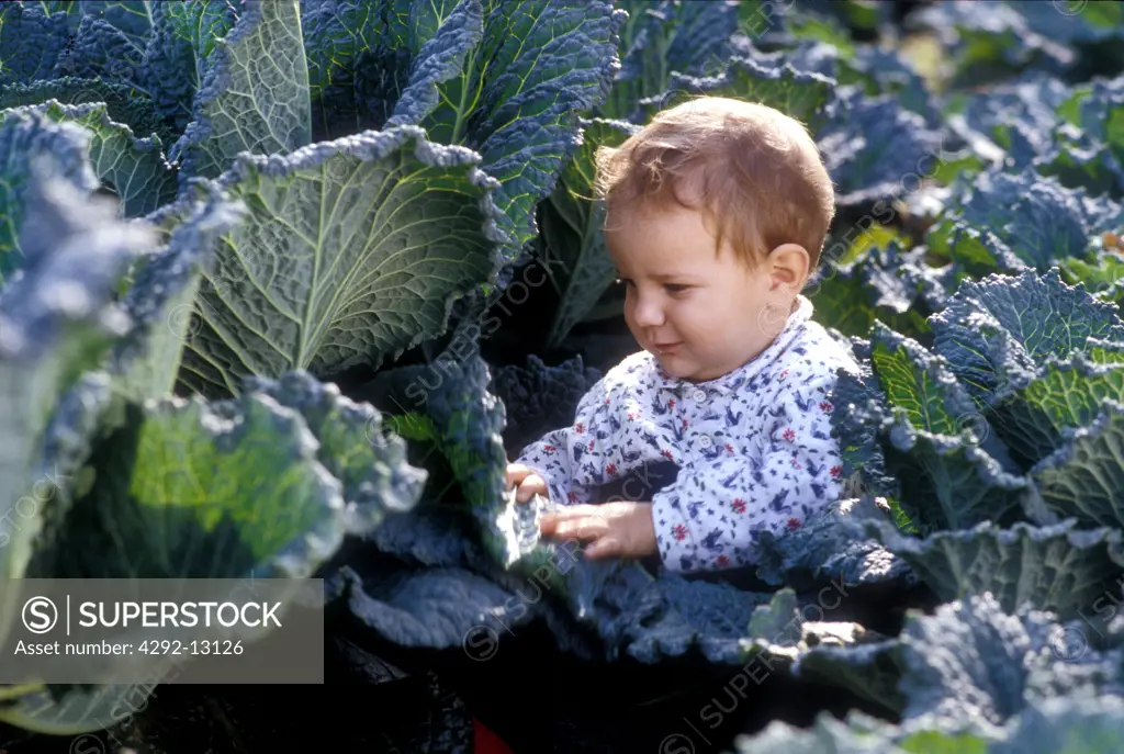 Portrait of a child in a field of cabbage