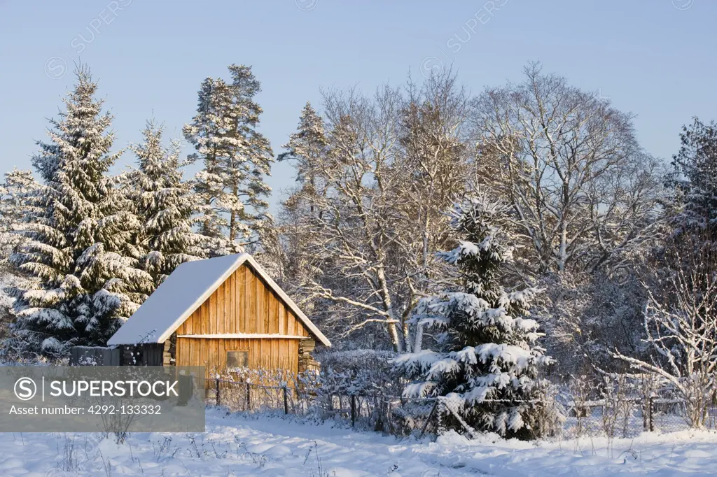 A Farmstead in Winter, Western Estonia