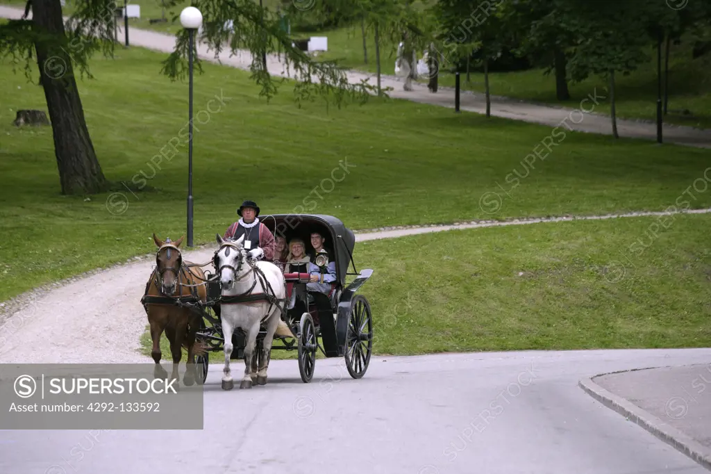 A Horse Carriage, Tartu Hanseatic Days