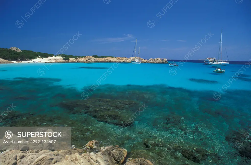 Sardinia, Maddalena Archipelago. transparent Sea at Spargi island