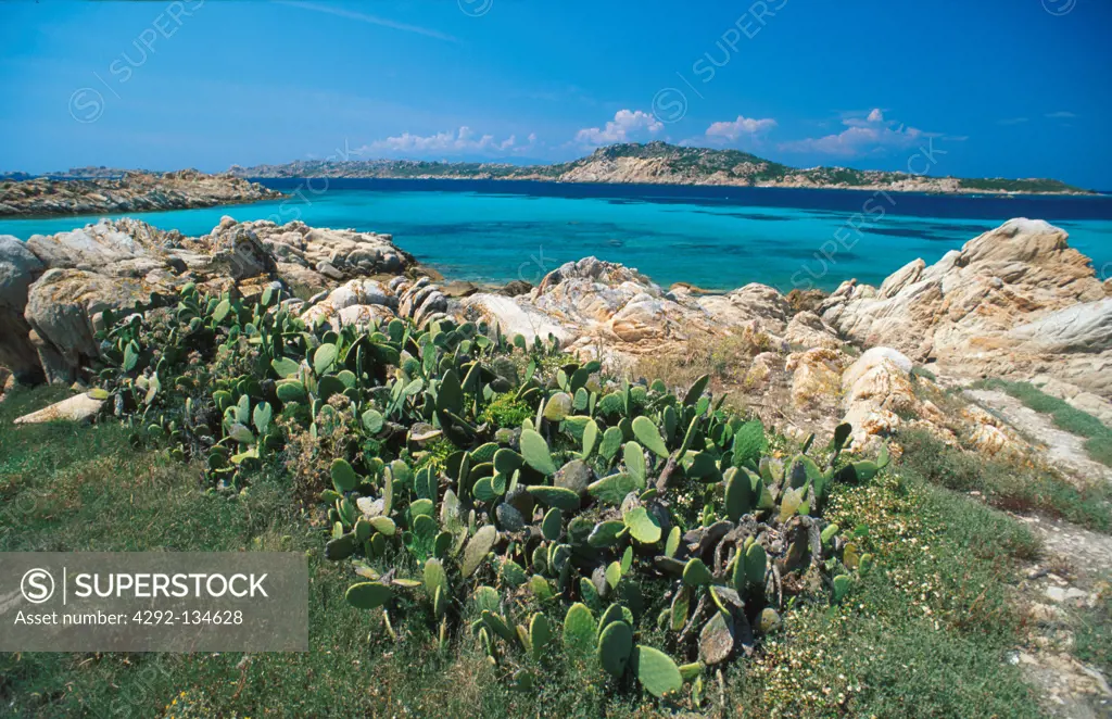 Sardinia, Budelli Island. Sea, Nature