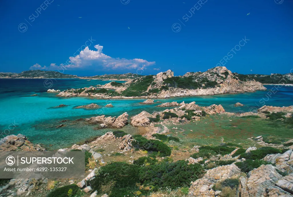Sardinia, scenic of transparent sea in Santa Maria island (Maddalena national park)