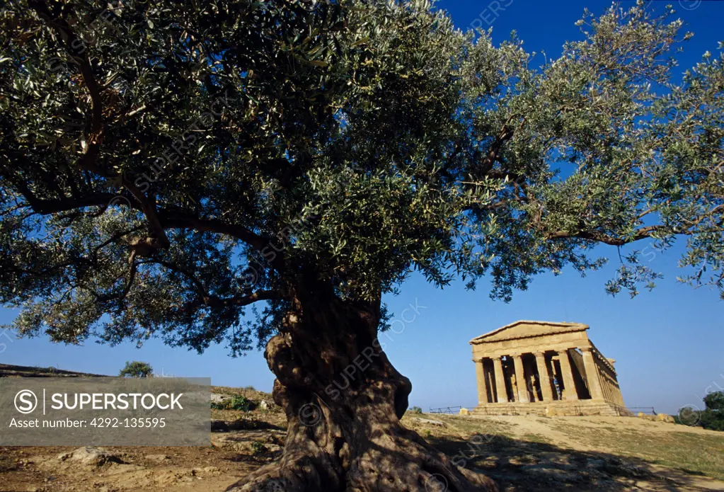 Sicily, Agrigento, ruins of the Concordia temple