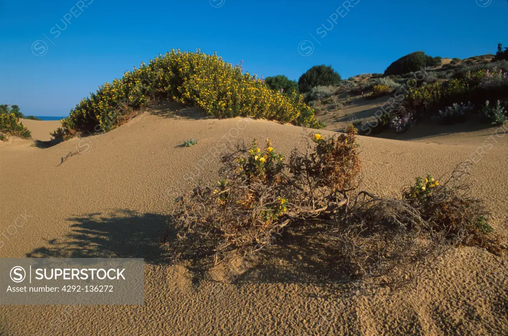Sardinia, Piscinas. Dune