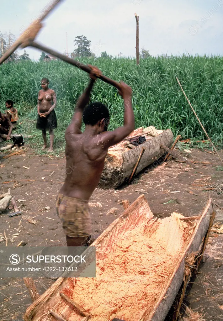 Papua New Guinea, people working the Sago palm tree stems