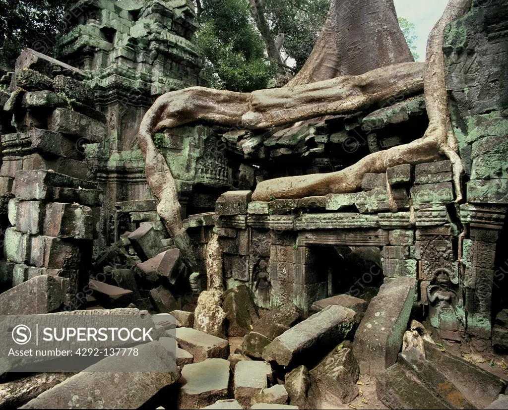 Ta Prohm temple (late 12th century)Angkor, Cambodia