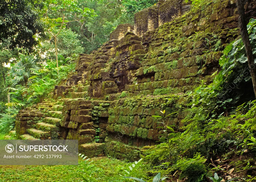 Guatemala, Tikal, mayan city, El Peten