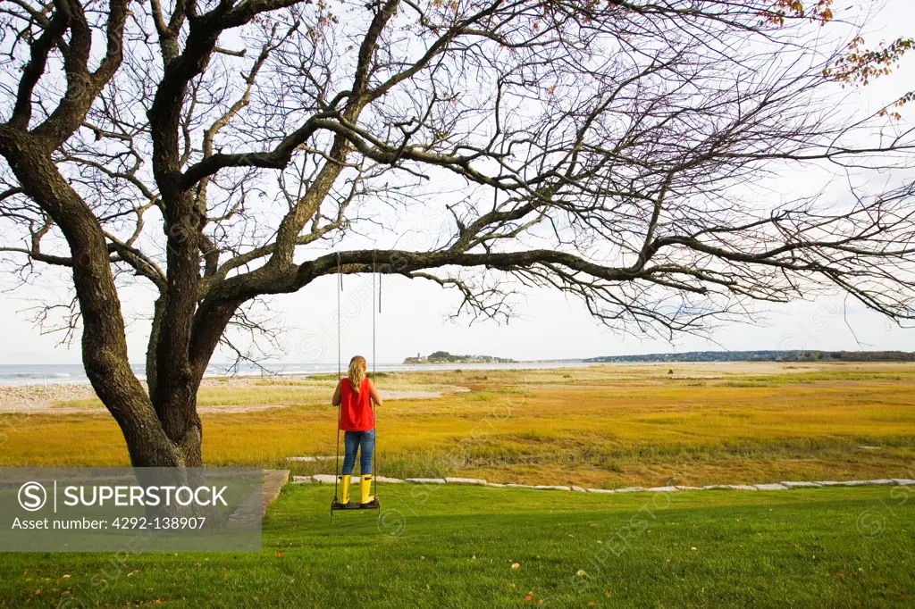 Child on a tree swing