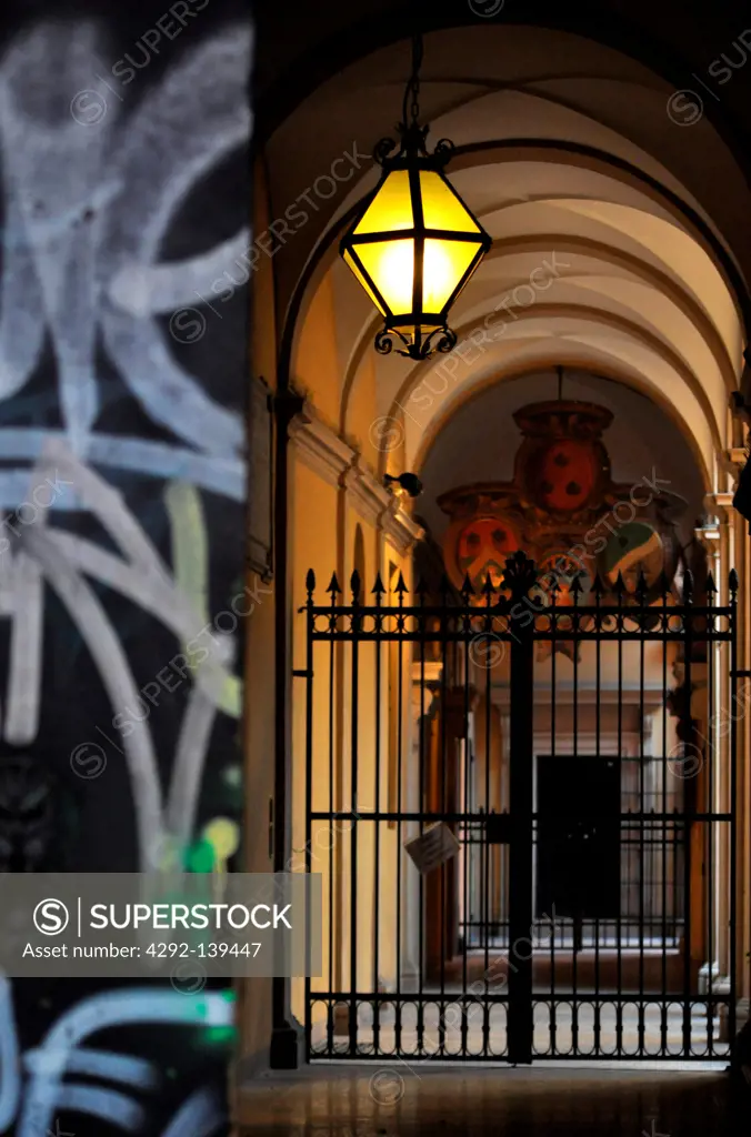 Italy, Emilia Romagna, Bologna, graffiti on a door of an old palace in via Guerrazzi