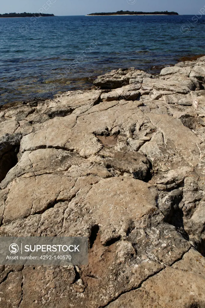 Croatia, Istria, Brijuni National Park, dinosaur footprints