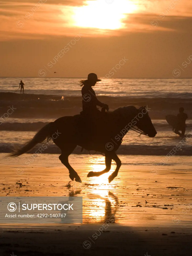 United States, California, Horseback rider on the beach at sunset in Morro Bay
