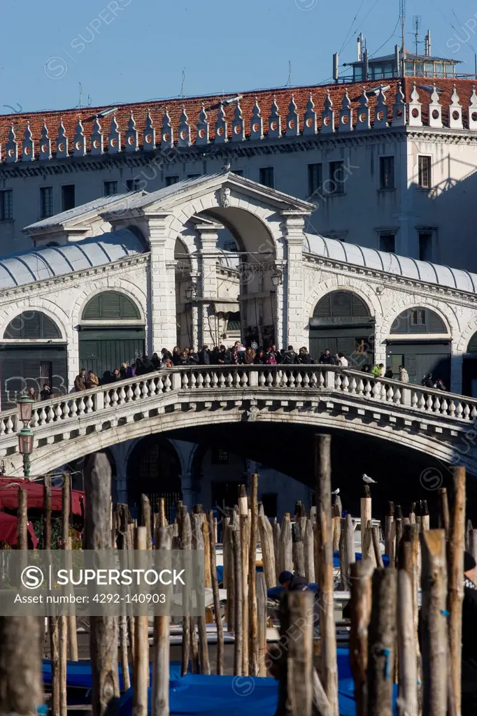 Italy, Veneto, Venice, Rialto Bridge on Canal Grande