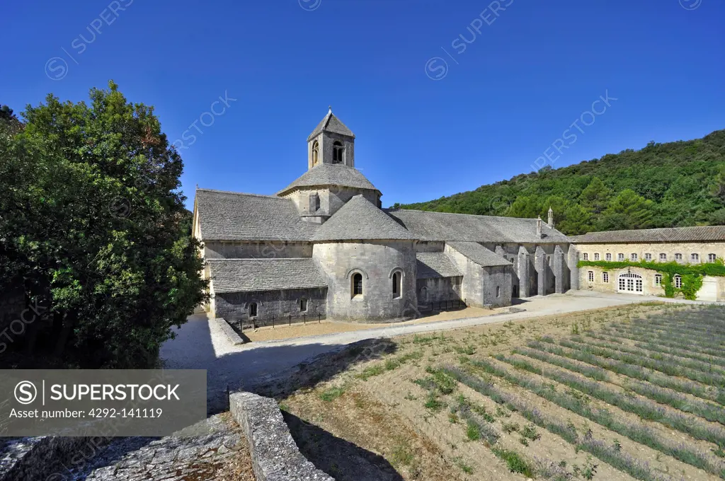 France, Provence, Gordes, Senanque abbey
