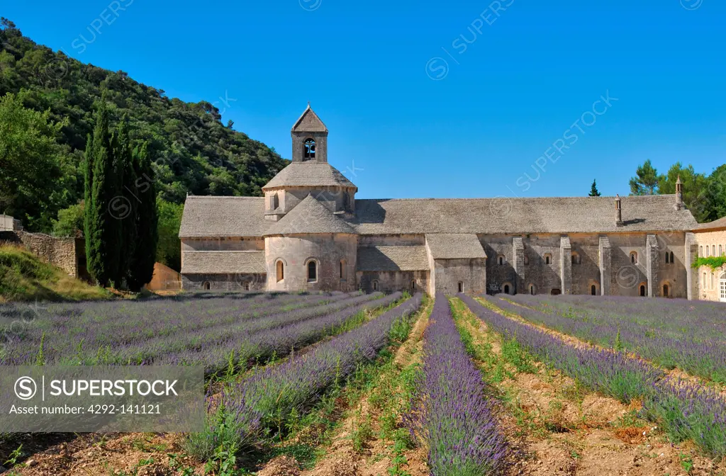 France, Provence, Gordes, Senanque abbey