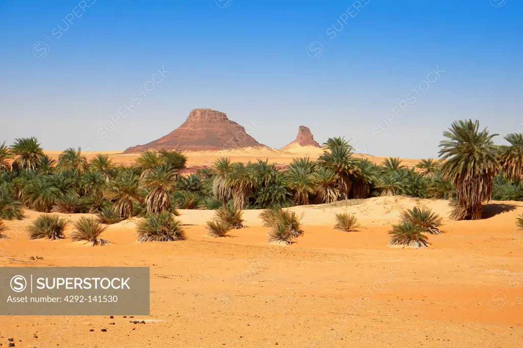 Taguede oasis, Mourdi region, Chad
