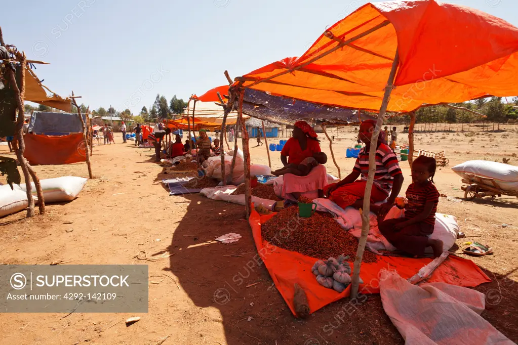 Africa, Ethiopia, Banna women at Key Afar market