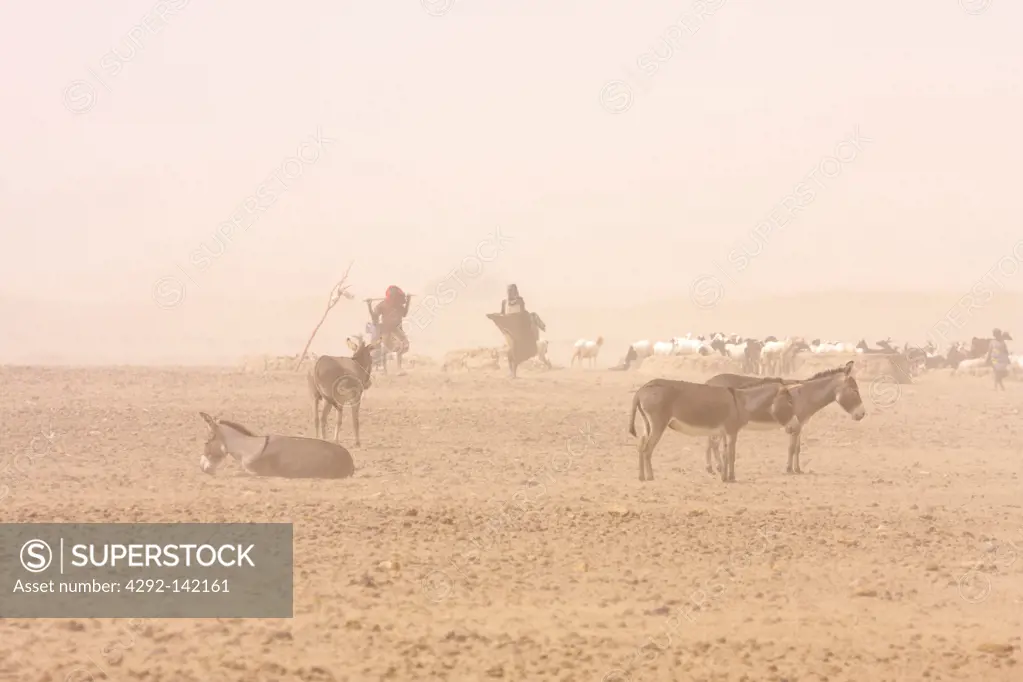 Africa, Ethiopia, Danakil, sandstorm