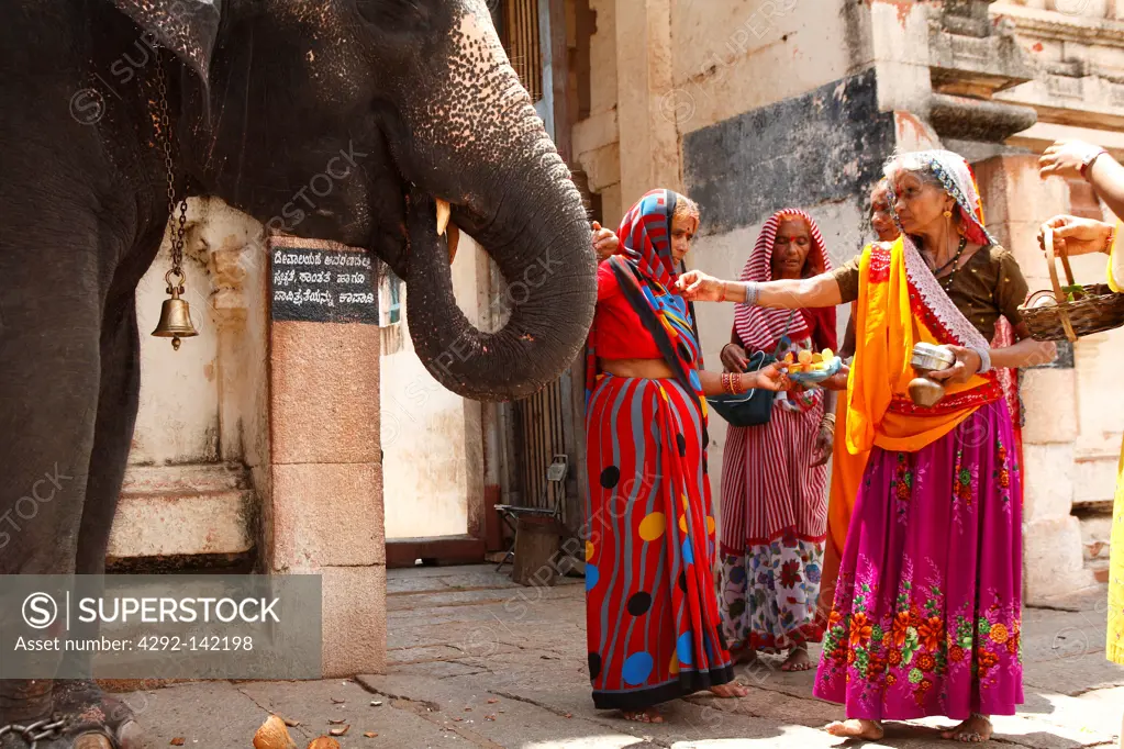 India, Karnataka, elephant blessing in Hampi Virupaksha temple