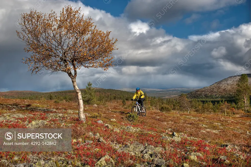 Lapland, Finland, Pallas Yllastunturi National Park, in autumn