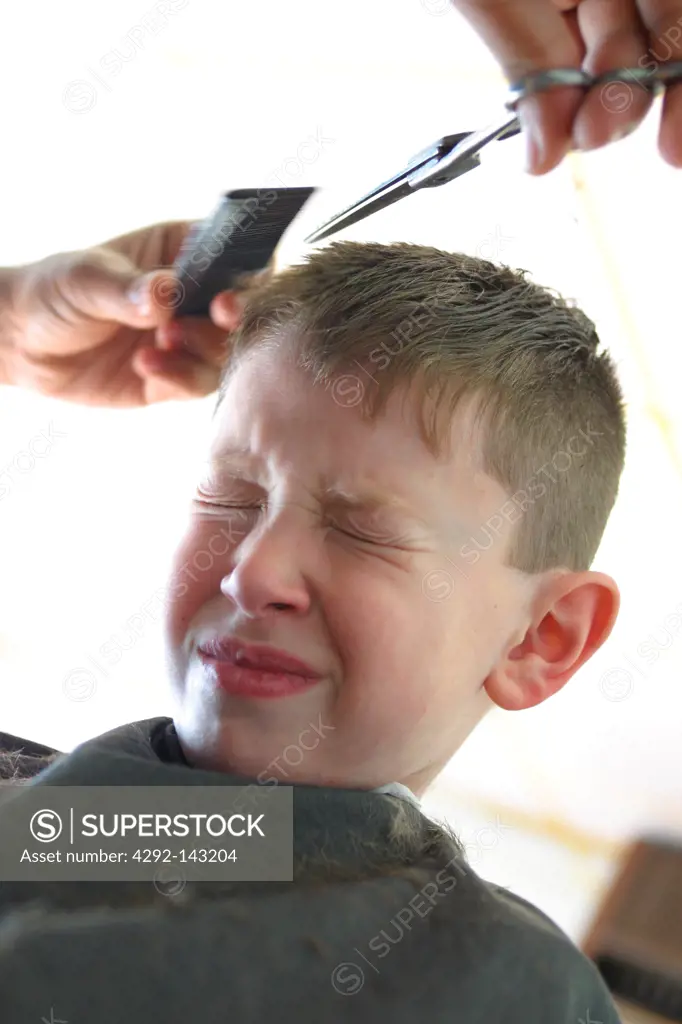 Young Boy Getting Hair Cut