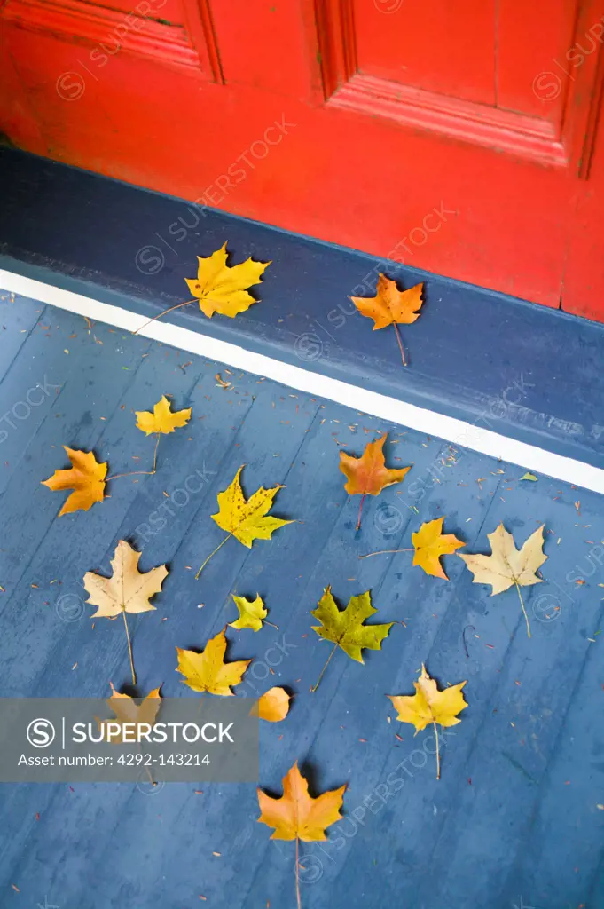 USA, Massachusetts, Lenox, Berkshire Mountains, Autumn leaves on Doorstep