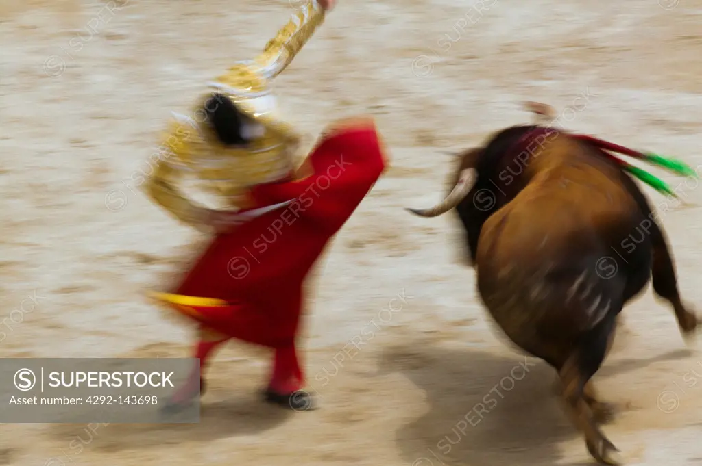 France, Languedoc Roussillon, Gard, Nîmes, Bullfighting
