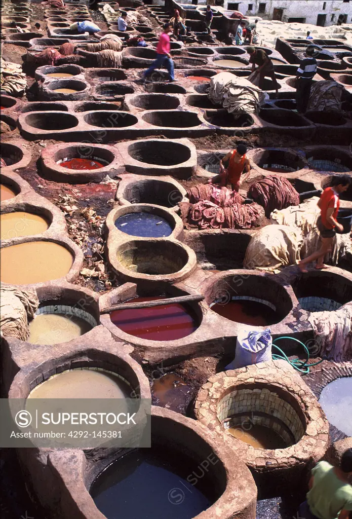 Africa, morocco, Fes, leather tannery