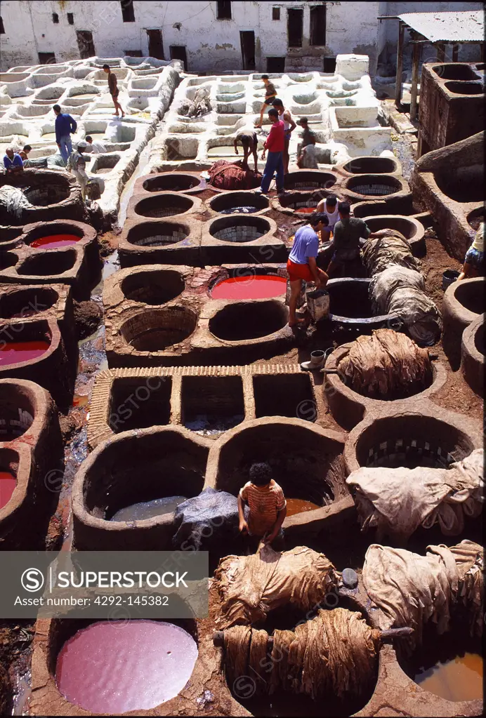 Africa, morocco, Fes, leather tannery