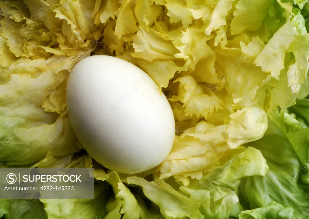 Boiled egg and lettuce