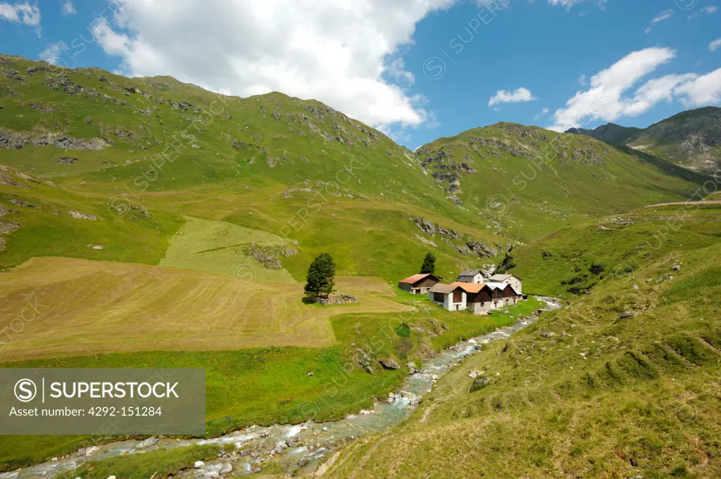 Switzerland, Engadine, Julierpass in summer