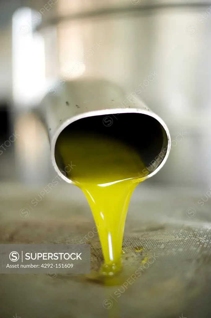 Italy, Apulia, Acaya, Olive oil going out from oil mill