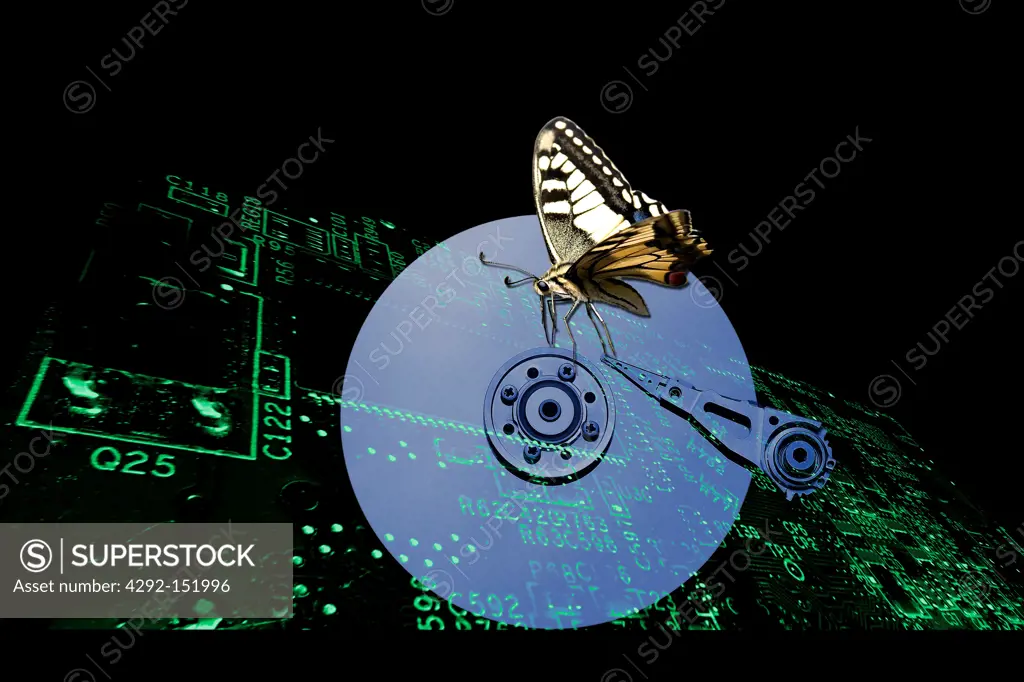 electronics equipment and butterfly