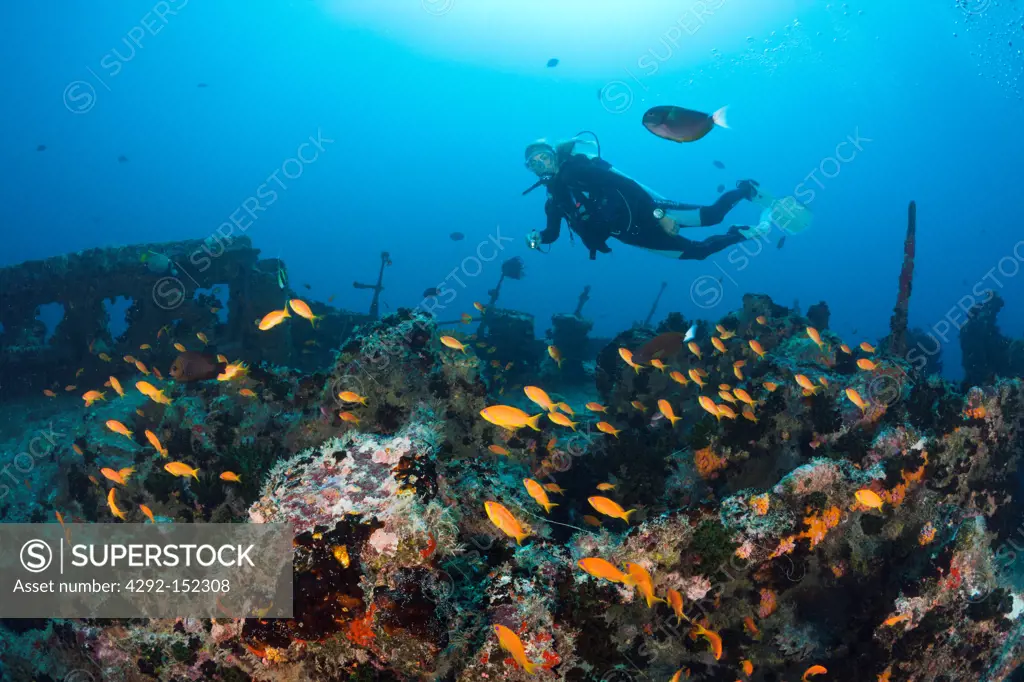 Scuba Diver at Stern of Maldive Victory Wreck, North Male Atoll, Indian Ocean, Maldives