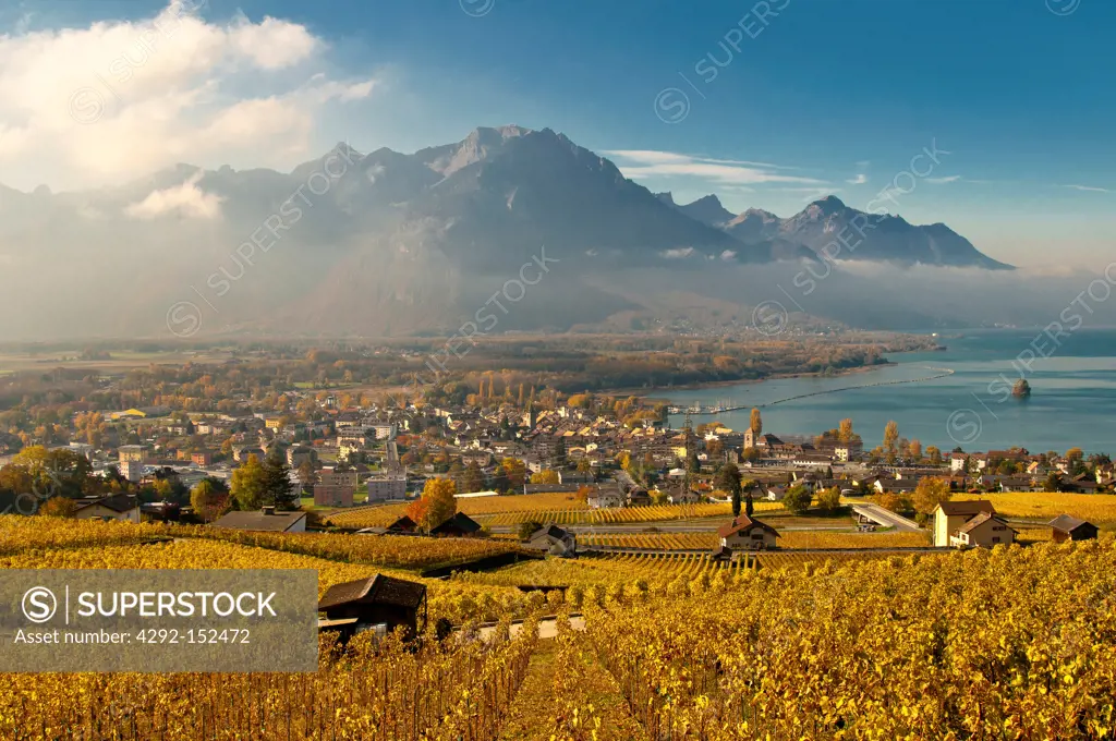Switzerland, Vaud, Villeneuve, Vineyards