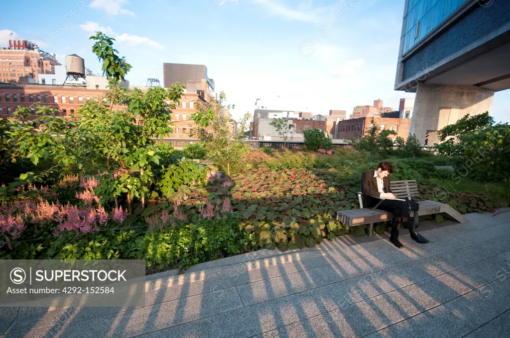USA,New York, New York City, Manhattan, West Side, Meat Packing District, High Line Elevated Park, Flower