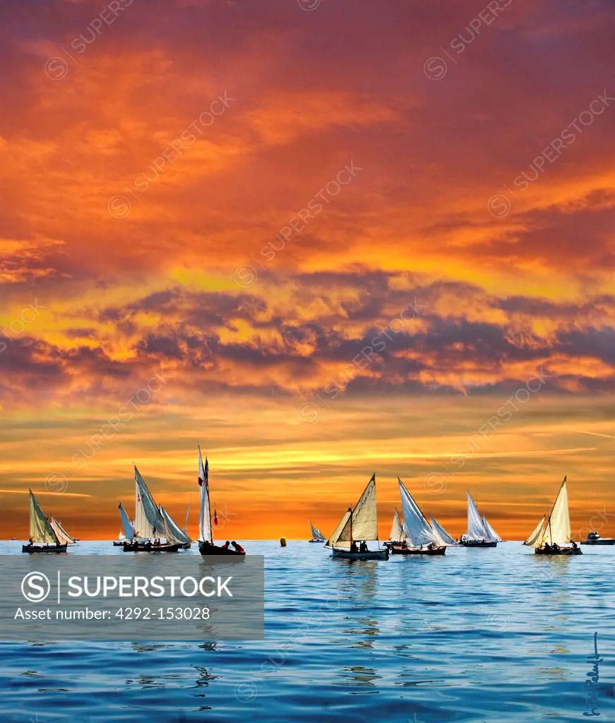 A lots of sail boats in the sunset