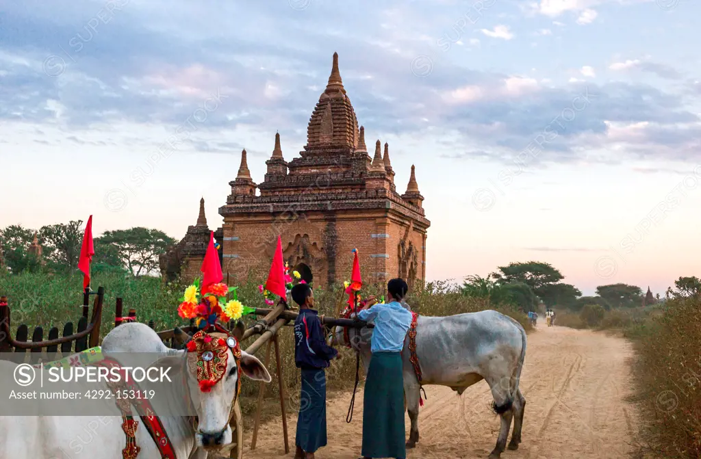 Myanmar, Bagan, people prepairing a sacred carriage in the plain with thousand of 880-year old temple ruins.