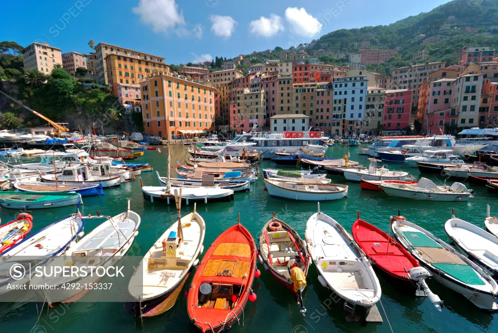 Italy, Liguria, Camogli, the harbour
