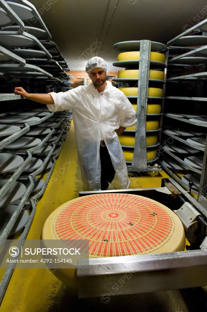 Switzerland, Canton Bern, Affolter Im Emmental, dairy production of Emmental cheese, maturing room