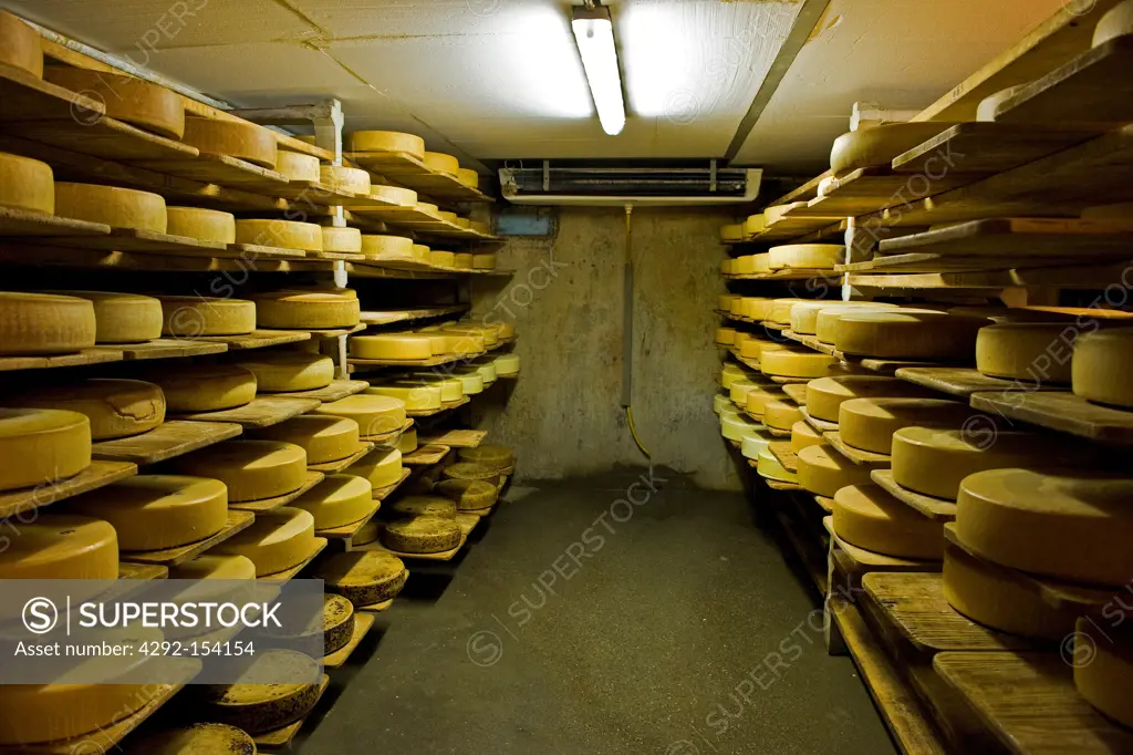 Switzerland, Canton Bern, Affolter Im Emmental, dairy production of Emmental cheese, maturing room
